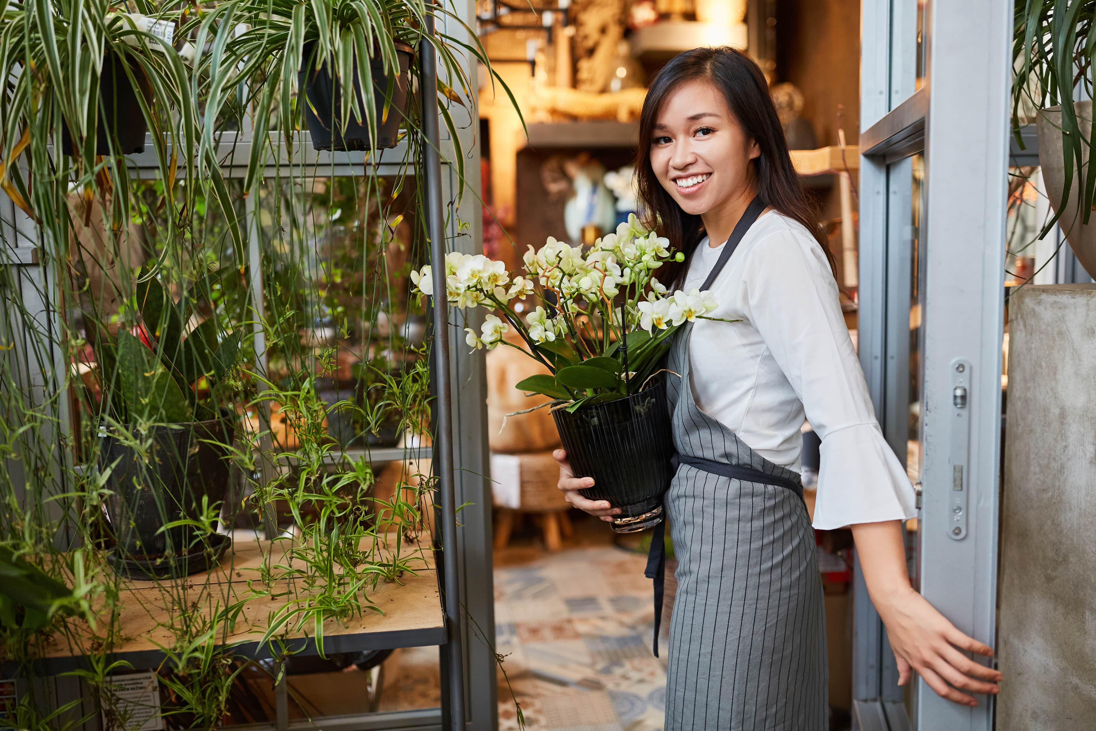 A young female florist is standing in the doorway of her store with a welcoming body language. The florist has a big bright smile, wearing a grey and black striped apron over her clothes and holding a small vase. The vase has a living orchid with many many white flowers. Inside the store is well lit and looks comfortable and plenty of other flowers to smell.   To enhance our alttext, email alttext@cerge.app with suggestions