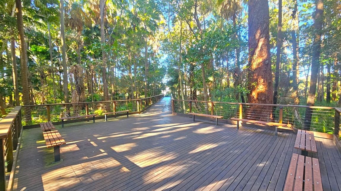 A wooden boardwalk extends through a dense forest, with tall trees and lush green foliage on both sides. The boardwalk is bordered by a railing and features several wooden benches along its length. Sunlight filters through the trees, casting dappled shadows on the boardwalk. The path leads into the distance, creating a sense of depth and inviting exploration.