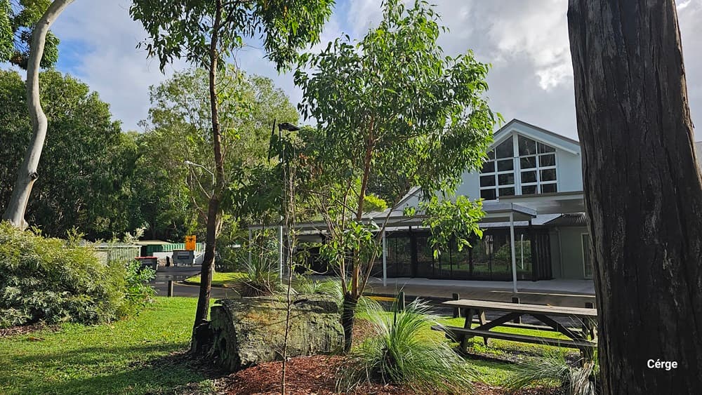 On the left, there are several trees and a large tree stump surrounded by grass and small plants. On the right, there is a building with large windows and a gabled roof, partially obscured by trees. In the foreground, there is a wooden picnic table and more greenery. The background features additional trees and part of the building. The floor is grassy with patches of mulch around the plants.