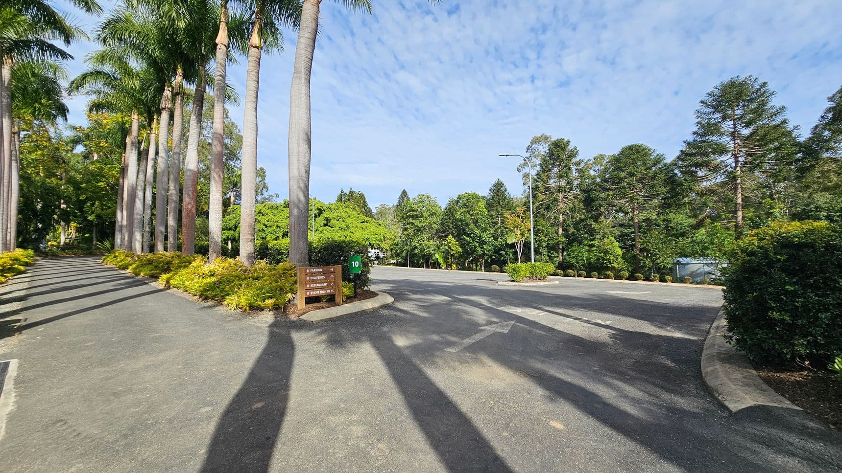 A paved road with tall palm trees lining the left side, casting long shadows across the path. Yellow and green shrubs border the trees. In the centre, a wooden signpost with directional information. The right side features a wider road with an arrow painted on it, leading into a lush area with various trees and bushes. A small green sign with the number 10 is visible near the centre. The background is filled with dense greenery.