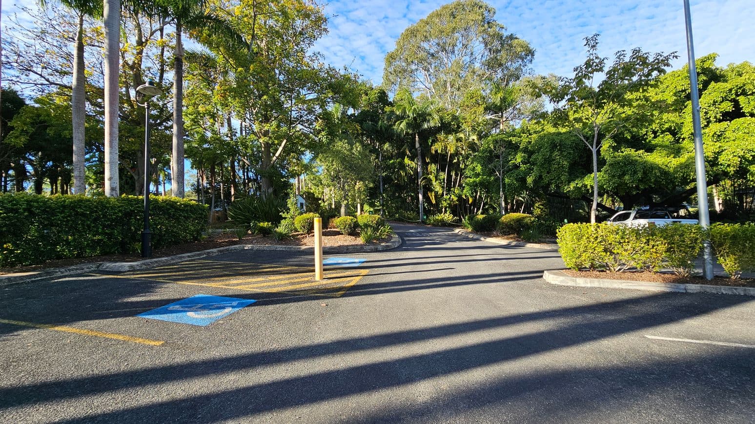 A car park with a marked disabled parking space in the foreground, featuring a blue symbol on the asphalt. Tall palm trees and lush green foliage line the left side, with a lamppost nearby. On the right, a white car is partially visible behind dense bushes. The background is filled with a variety of trees, creating a dense, green canopy. Shadows from the trees stretch across the asphalt.