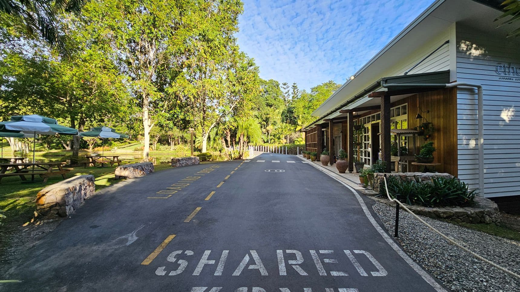 A paved path marked "SHARED ZONE" runs through the centre. On the right, a building with white and wooden panelling features large windows and potted plants. On the left, picnic tables with green and white umbrellas are set on a grassy area, bordered by stone barriers. Tall trees with lush green foliage surround the area, creating a serene, natural setting.