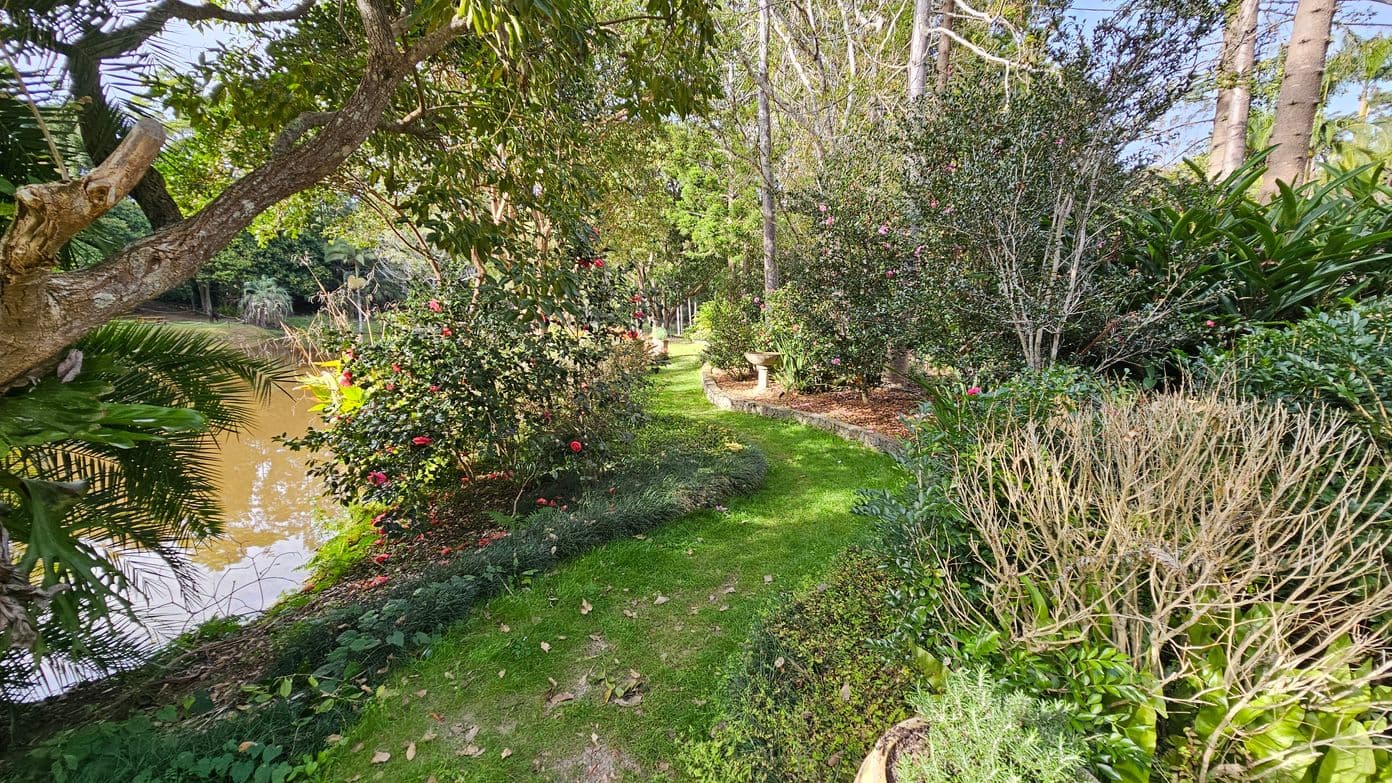 A lush garden path winds through dense greenery. On the left, a tree with a thick branch extends over a brownish pond, surrounded by ferns and flowering bushes with red blooms. On the right, a variety of shrubs and small trees line the path, with some bare branches visible. The path is covered in vibrant green grass, leading deeper into the garden. In the background, tall trees and more foliage create a secluded, natural atmosphere.