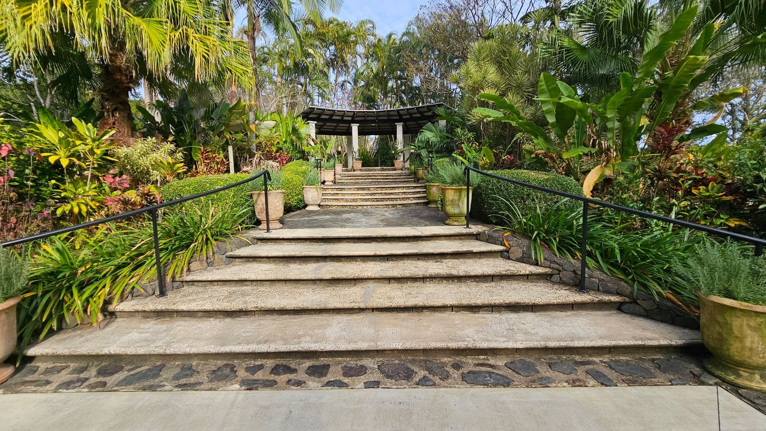 Wide stone steps lead up to a pavilion with a dark, slatted roof supported by white columns. Lush greenery surrounds the steps, including palm trees, large leafy plants, and various shrubs. Potted plants line the steps, and black metal railings run along both sides. The foreground features a stone and concrete path.