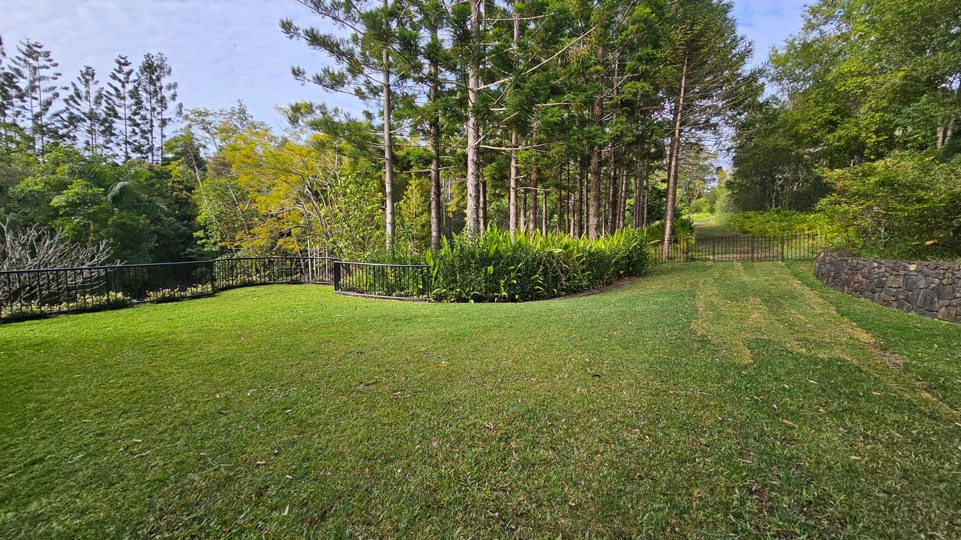 A grassy area with a black metal fence on the left, surrounded by dense trees and shrubs. Tall pine trees are in the centre, with a stone wall on the right. A path leads to a metal gate in the background, flanked by more trees and greenery.