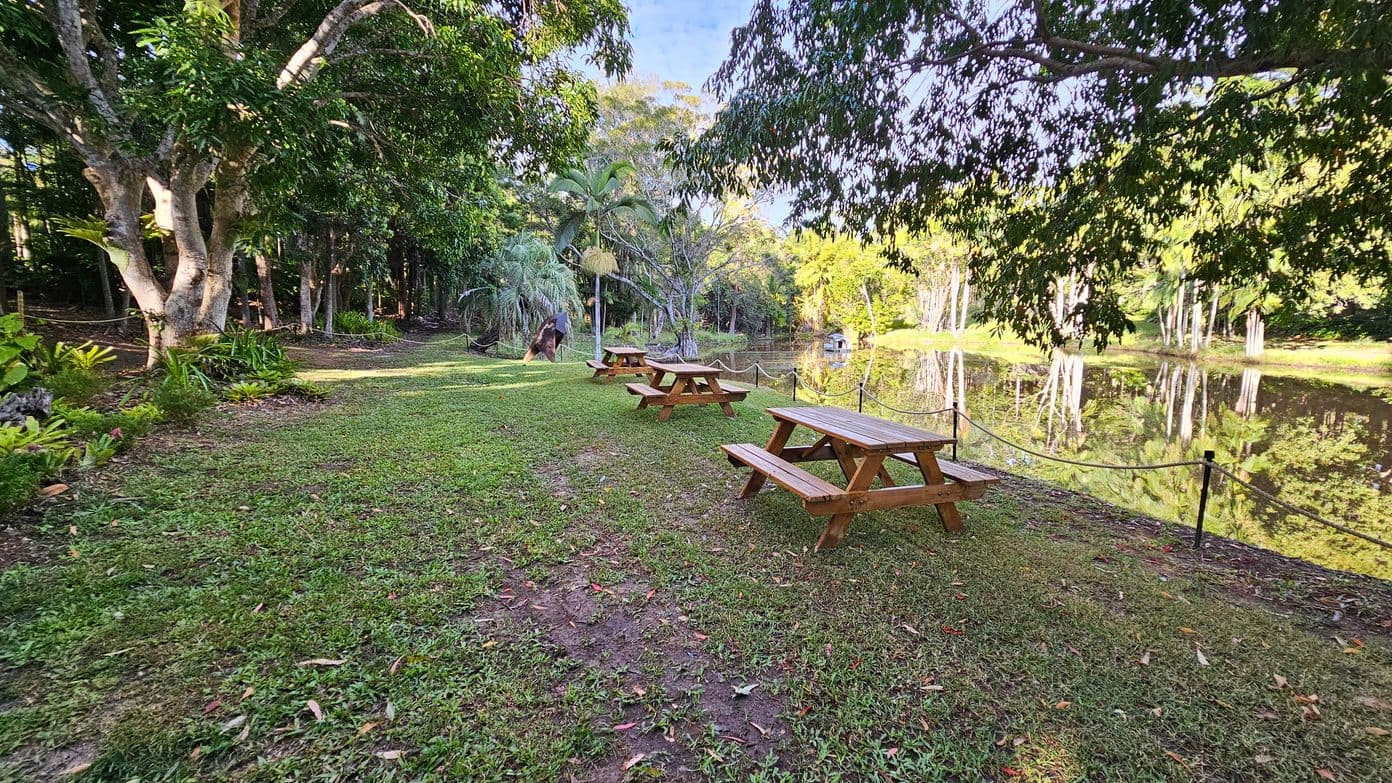 A grassy area with several wooden picnic tables is on the right, near a calm pond bordered by a rope fence. The pond reflects the surrounding trees, which are lush and green. On the left, there are large trees with thick trunks and dense foliage, providing shade. The ground is covered with grass and some fallen leaves, and the area appears to be part of a park or garden setting.