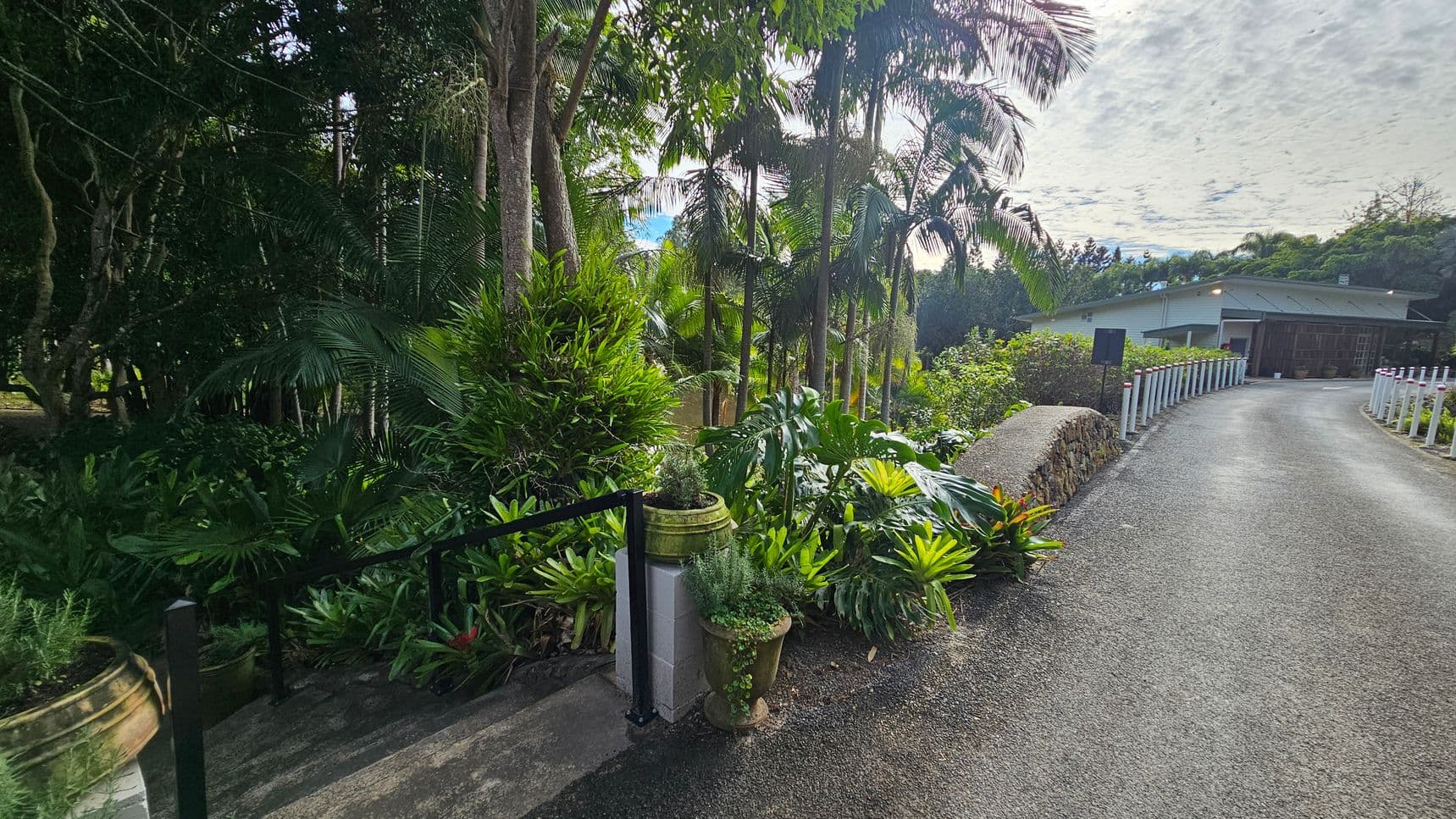 A lush garden scene with dense greenery on the left, featuring various tropical plants and trees. A stone pathway with a black railing leads through the foliage. On the right, a paved road curves towards a building with a metal roof, surrounded by more plants and a low stone wall. The area is well-maintained, with potted plants placed along the path. The background includes more trees and a partly cloudy sky.