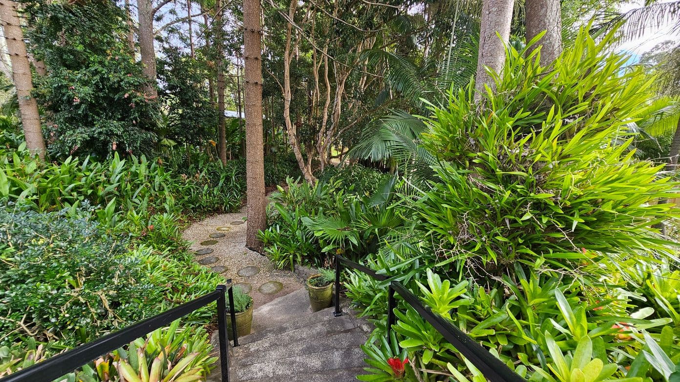 A lush garden scene with a stone pathway winding through dense greenery. On the left, tall trees and various shrubs create a thick canopy. On the right, vibrant green plants and ferns are abundant. In the foreground, a set of stone steps with black railings leads down into the garden, flanked by potted plants. The background is filled with more trees and foliage, creating a serene, natural environment.