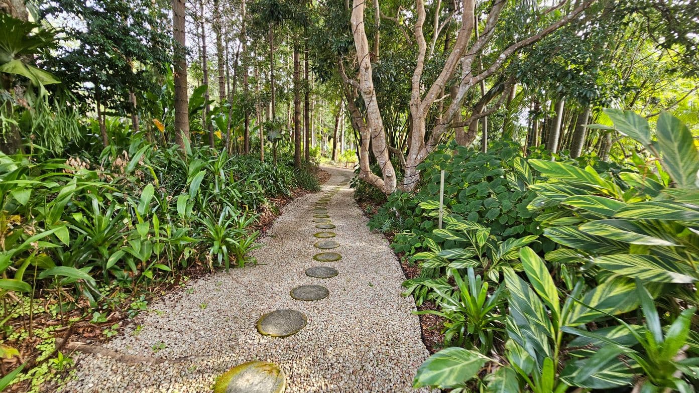 A narrow gravel path winds through a lush, green forest. The path is lined with round stepping stones, leading deeper into the dense foliage. On the left, tall trees and various plants create a thick canopy, while on the right, a variety of leafy plants and shrubs add to the verdant scenery. The trees have twisting trunks, and the area is rich with different shades of green, creating a serene and natural atmosphere.