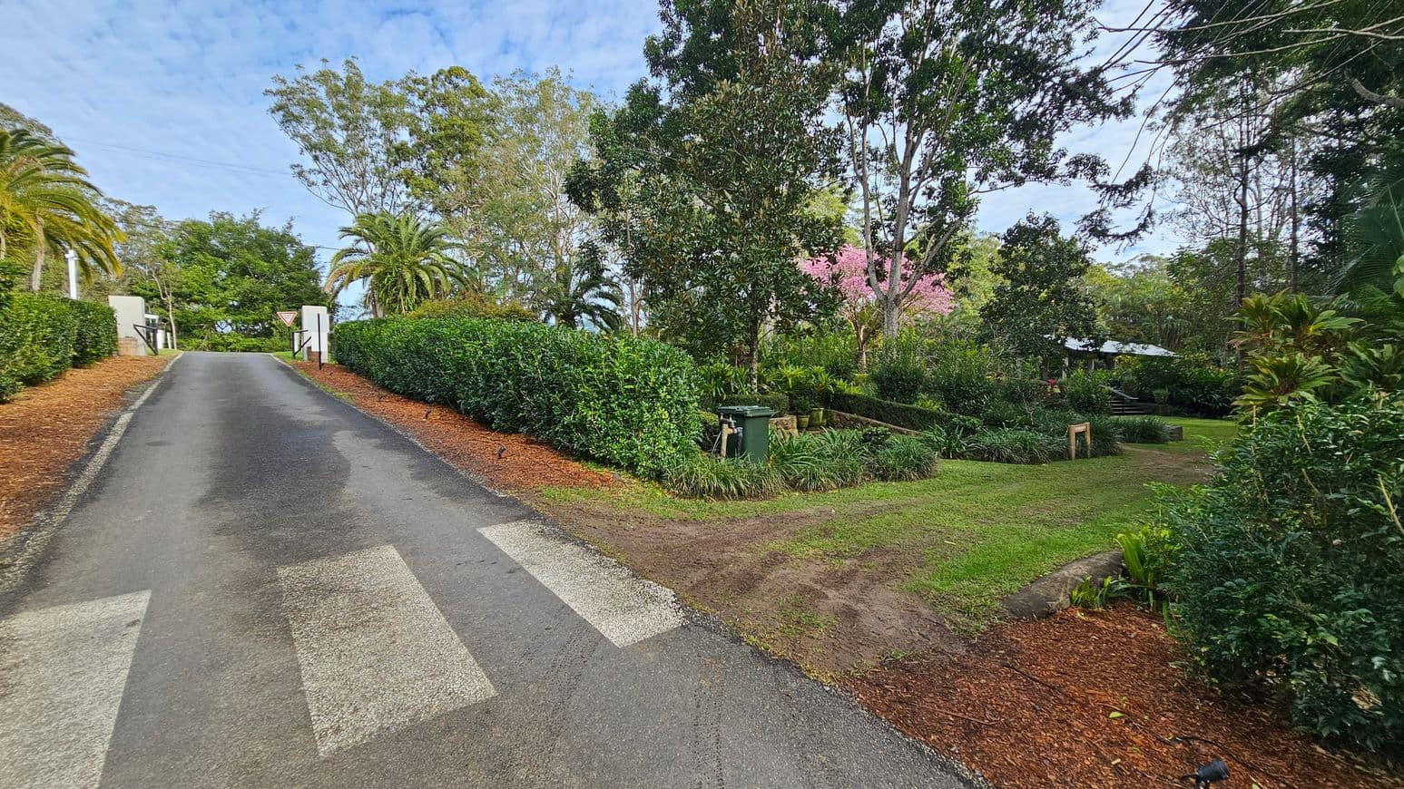 A paved road runs up the centre, flanked by hedges and palm trees on the left. On the right, a grassy area with various plants and trees, including a pink-flowered tree, is visible. A green bin and some potted plants are near the road. The background is filled with dense greenery and trees, and a small structure with a metal roof is partially visible. The road has a pedestrian crossing marked at the bottom.