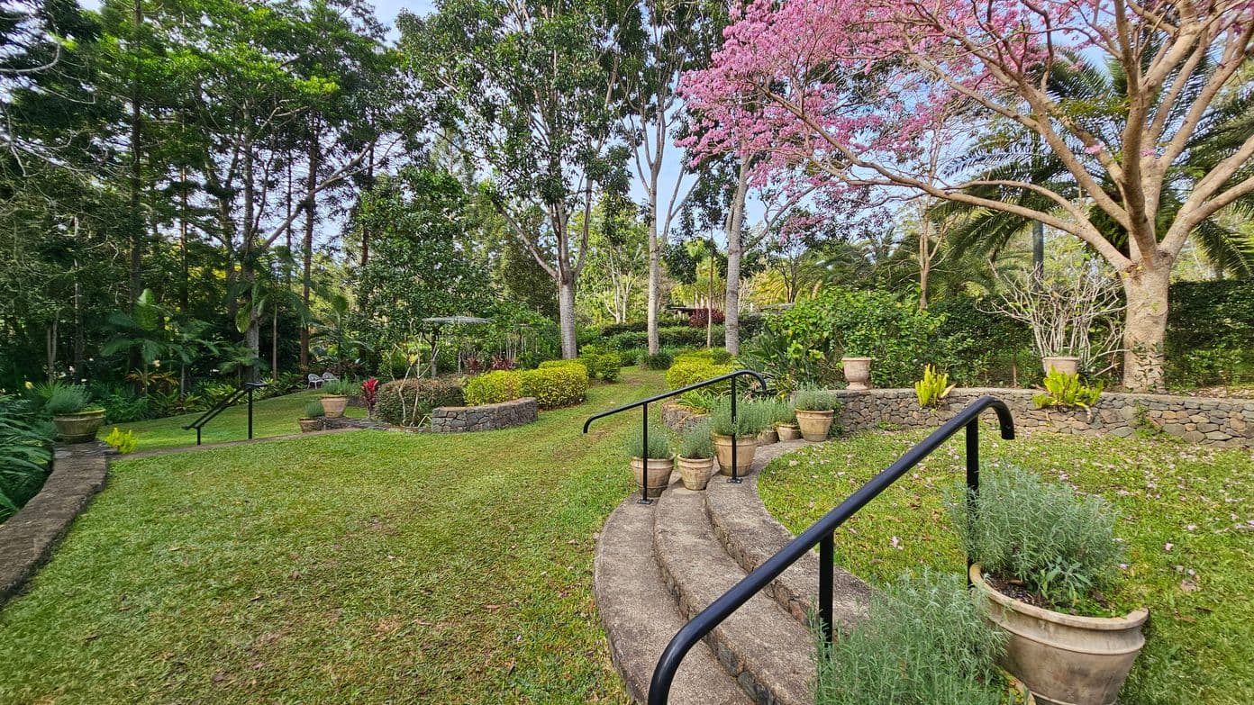 A lush garden with a stone pathway and steps in the foreground, bordered by potted plants. On the right, a tree with pink blossoms stands prominently. The background features a variety of green trees and shrubs, with a stone wall running along the garden's edge. A black handrail accompanies the steps, and the grass is well-maintained, adding to the serene atmosphere.