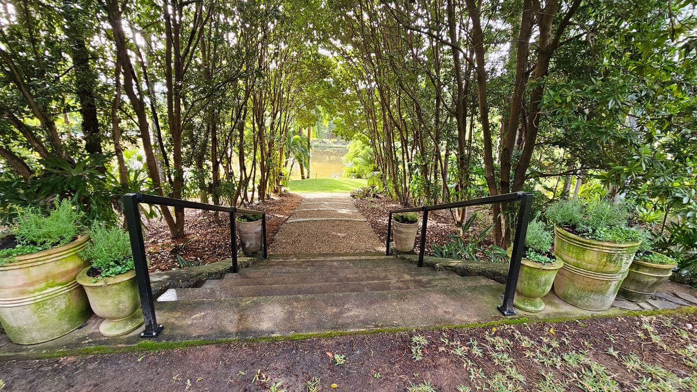 Stone steps lead down to a pathway flanked by black metal railings. On either side of the steps are large, weathered terracotta pots filled with green plants. The path is bordered by tall, dense trees forming a natural archway. In the background, a grassy area opens up to a view of a pond surrounded by more greenery. The ground is covered with a mix of grass and soil, and the area is shaded by the overhead tree canopy.
