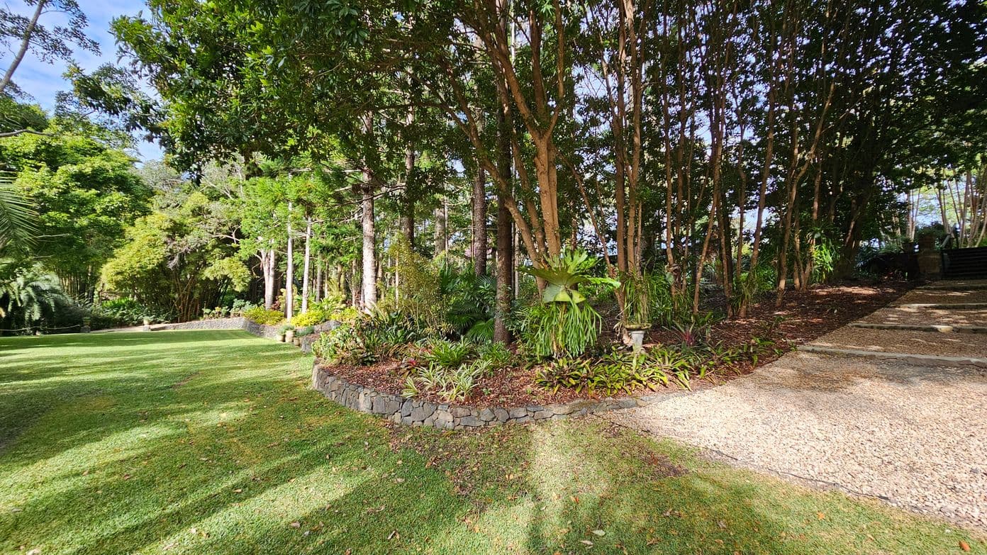 A lush garden scene with a well-maintained lawn on the left, bordered by a low stone wall. On the right, a gravel path leads upwards, flanked by dense foliage and tall trees. The middle area features a variety of plants, including ferns and other greenery, under the shade of the trees. The background is filled with more trees, creating a dense, forest-like atmosphere. Shadows from the trees stretch across the grass and path.