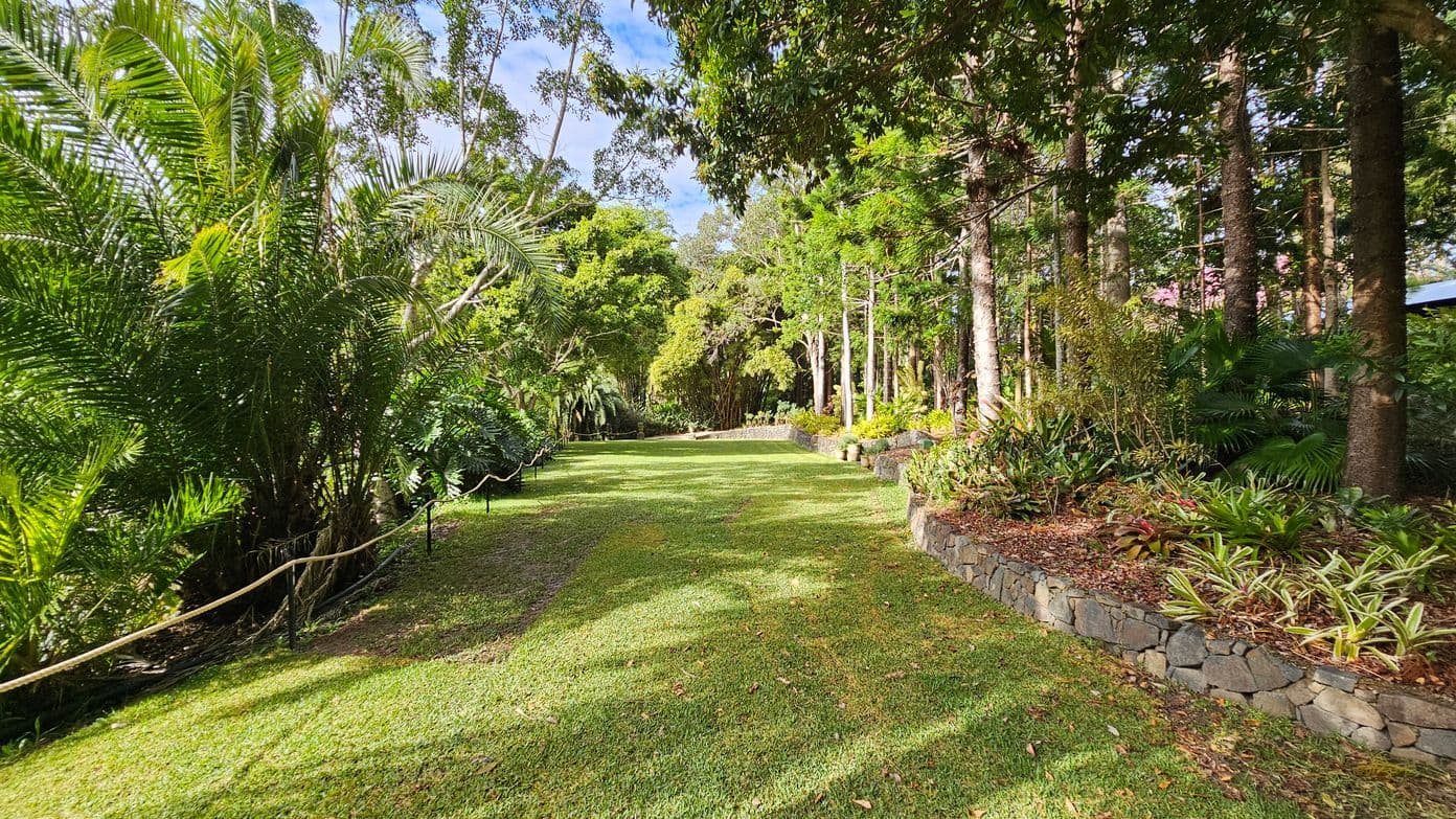 A lush garden scene with a grassy path in the centre. On the left, dense foliage of tall palm trees and other tropical plants, bordered by a rope fence. On the right, a variety of plants and ferns are planted along a stone retaining wall, with tall trees providing shade. The background is filled with more greenery, creating a serene, natural setting.