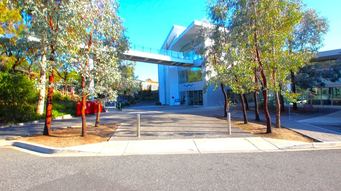 A modern building with a white bridge connecting two sections is in the centre. Trees with slender trunks and sparse foliage are on both sides, casting shadows on the ground. The foreground features a paved area with bollards and a kerb, leading to a road. The building has large glass windows, and the area is well-lit, suggesting a sunny day.