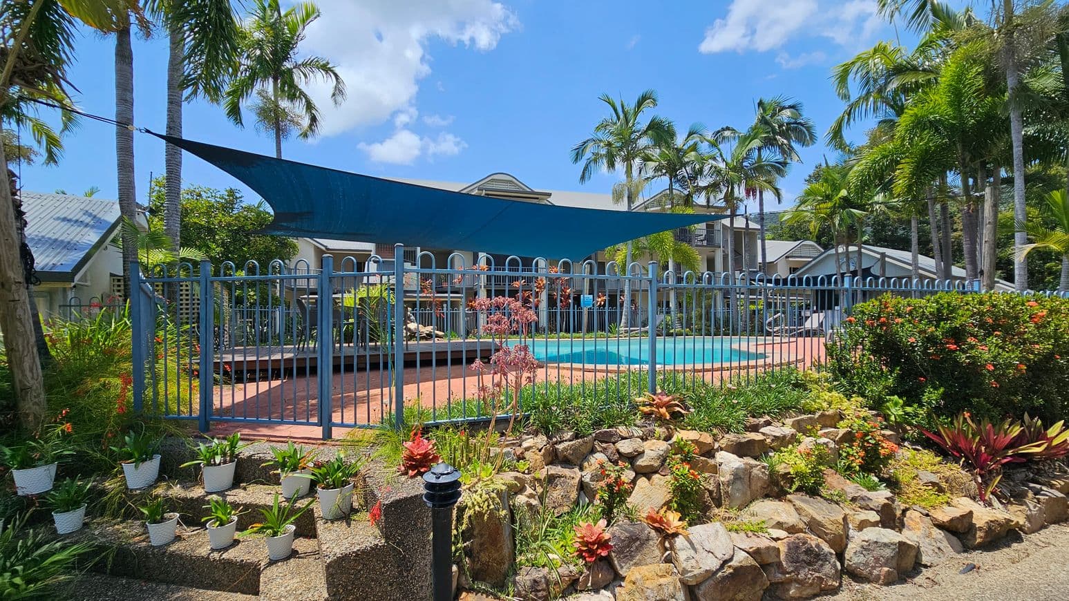 A garden with a variety of plants in white pots is in the foreground, set on a stone and concrete surface. Behind it, a blue metal fence encloses a swimming pool area with a shade sail overhead. The background features a building with a grey roof, surrounded by tall palm trees and lush greenery. The sky is clear with a few clouds.