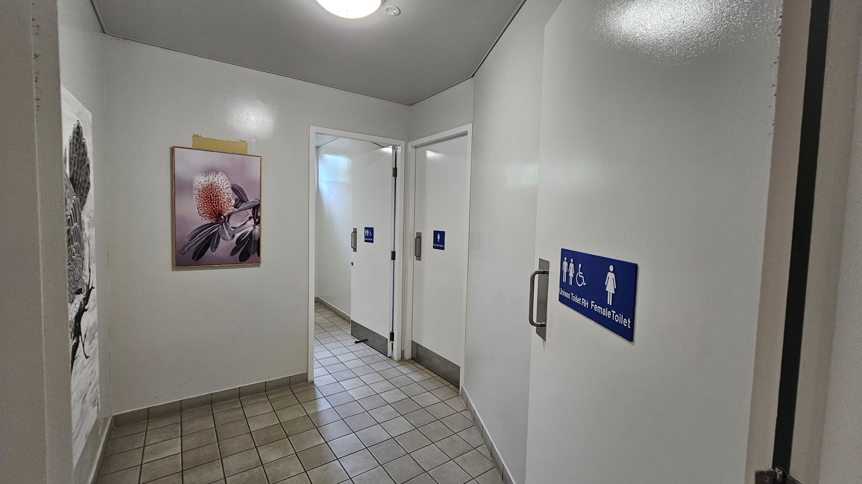 A hallway with tiled flooring and white walls. On the left, there are two framed pictures, one featuring a pink flower. On the right, a blue sign indicates a unisex and female toilet. Two doors are visible, each with a blue sign showing male and female symbols. The ceiling is white with a round light fixture.
