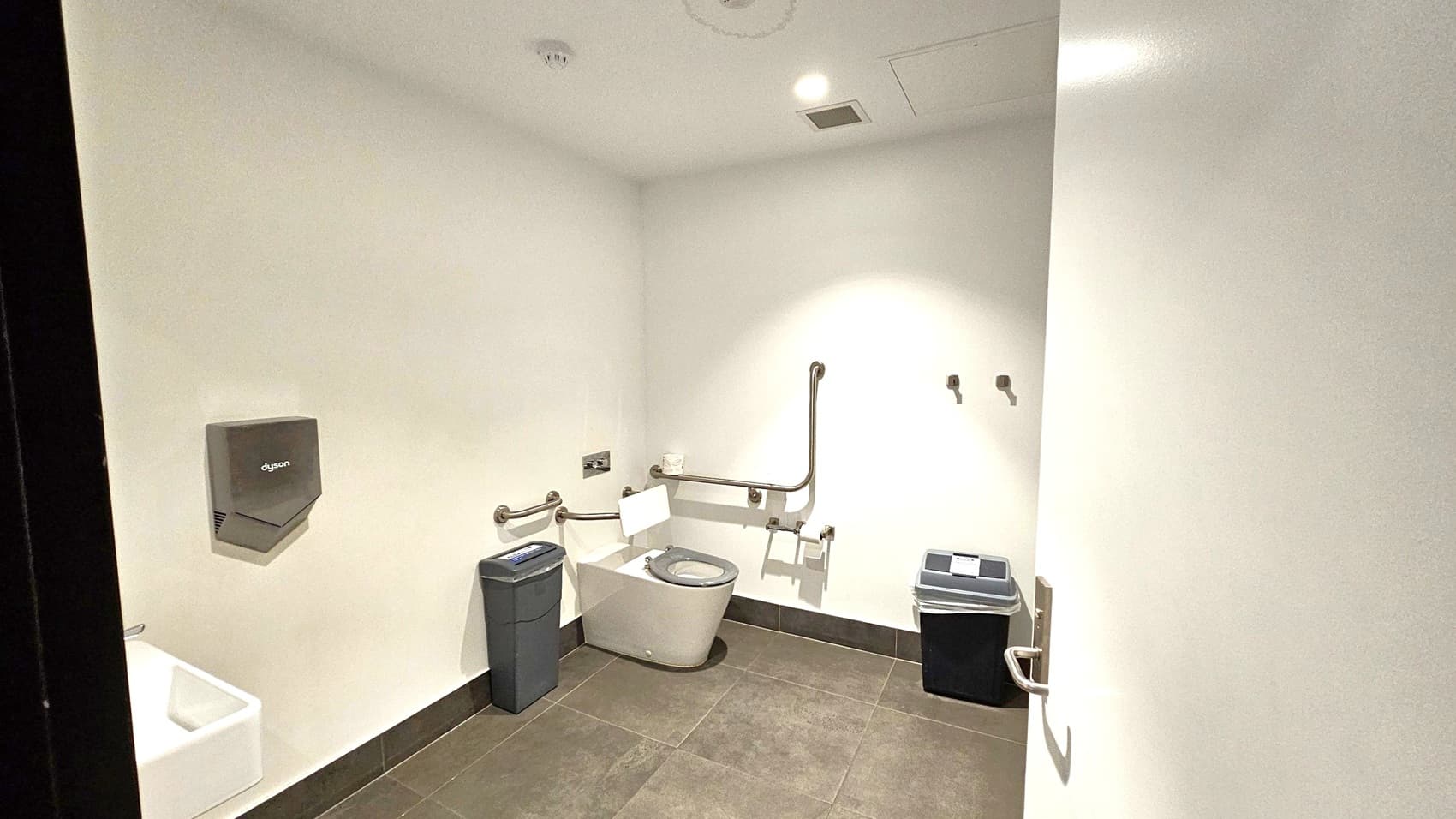 Accessible bathroom with a white toilet in the centre, equipped with support rails. To the left, a small white sink and a Dyson hand dryer are mounted on the wall. A bin is positioned next to the toilet. On the right, a larger bin is placed near the door, which has a metal handle. The floor is covered with dark tiles, and the walls are light-coloured. The ceiling has recessed lighting and a vent.