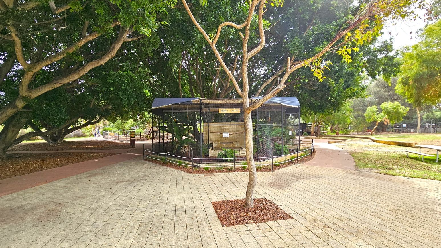 A paved pathway leads to a large aviary in the centre, surrounded by a metal fence. The aviary has a curved roof and contains various plants. A tree stands in the foreground, with its branches extending over the scene. On the left, large trees provide shade, while on the right, there are more trees and a grassy area with benches. The background features more pathways and greenery, creating a park-like setting.