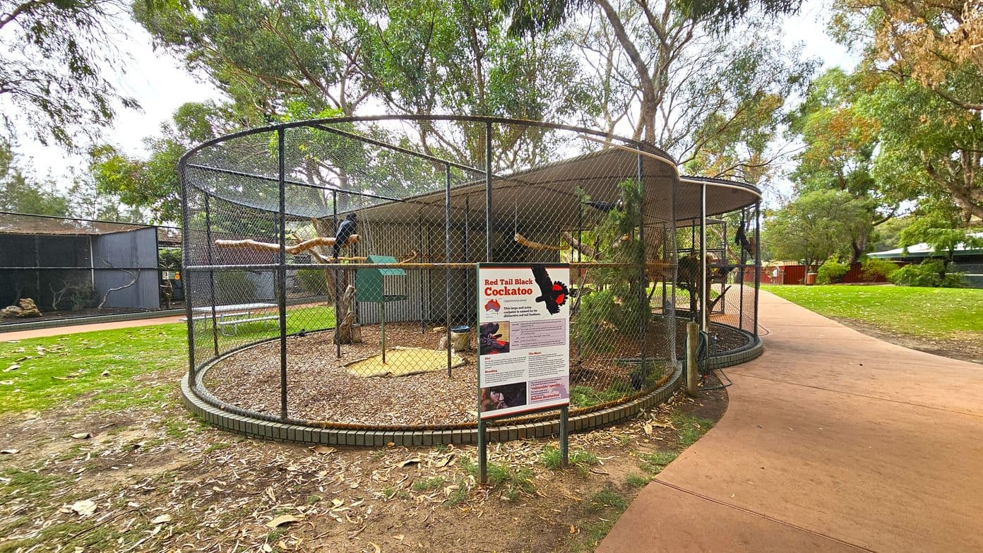 A circular aviary with a mesh enclosure houses a Red Tail Black Cockatoo, visible on a perch. A sign in front provides information about the bird. The aviary is surrounded by trees and greenery. A paved path curves around the right side, leading through the park. The ground is covered with fallen leaves and bark, and there are additional enclosures in the background.