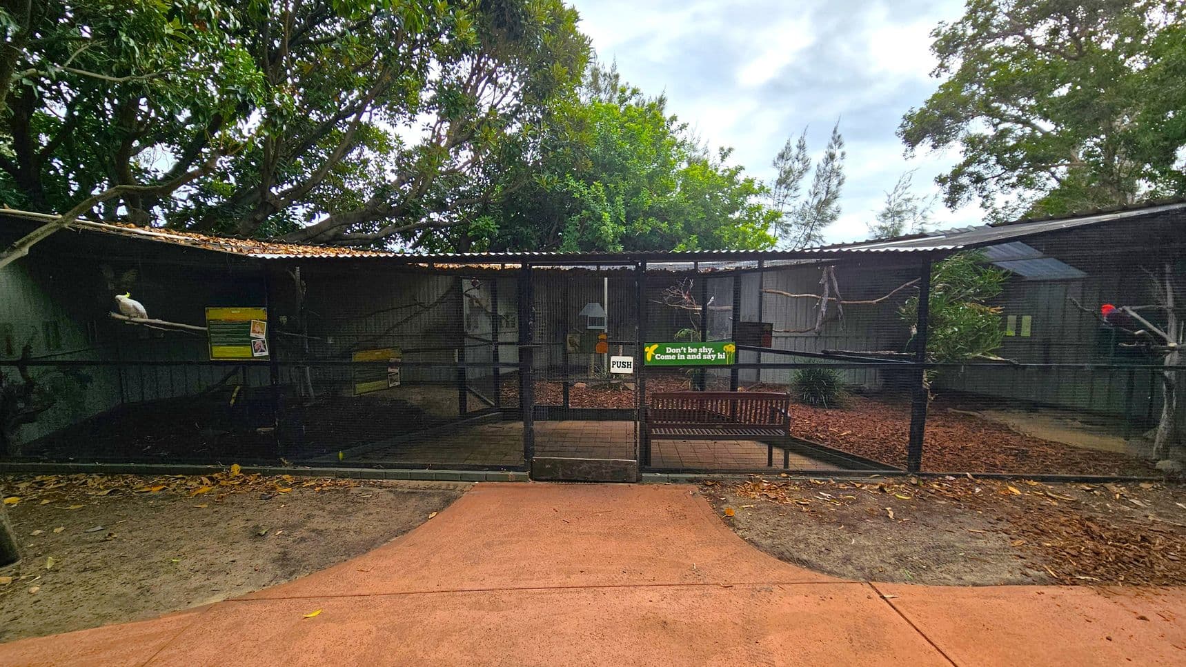 A bird enclosure with a wire mesh fence and a corrugated metal roof. On the left, a white bird perches on a branch near informational signs. In the centre, a gate with a "PUSH" sign and a bench behind it. A sign reads, "Don't be shy. Come in and say hi!" On the right, a red-headed bird is visible. The ground is covered with mulch and a concrete path leads up to the enclosure. Trees with dense foliage are in the background.