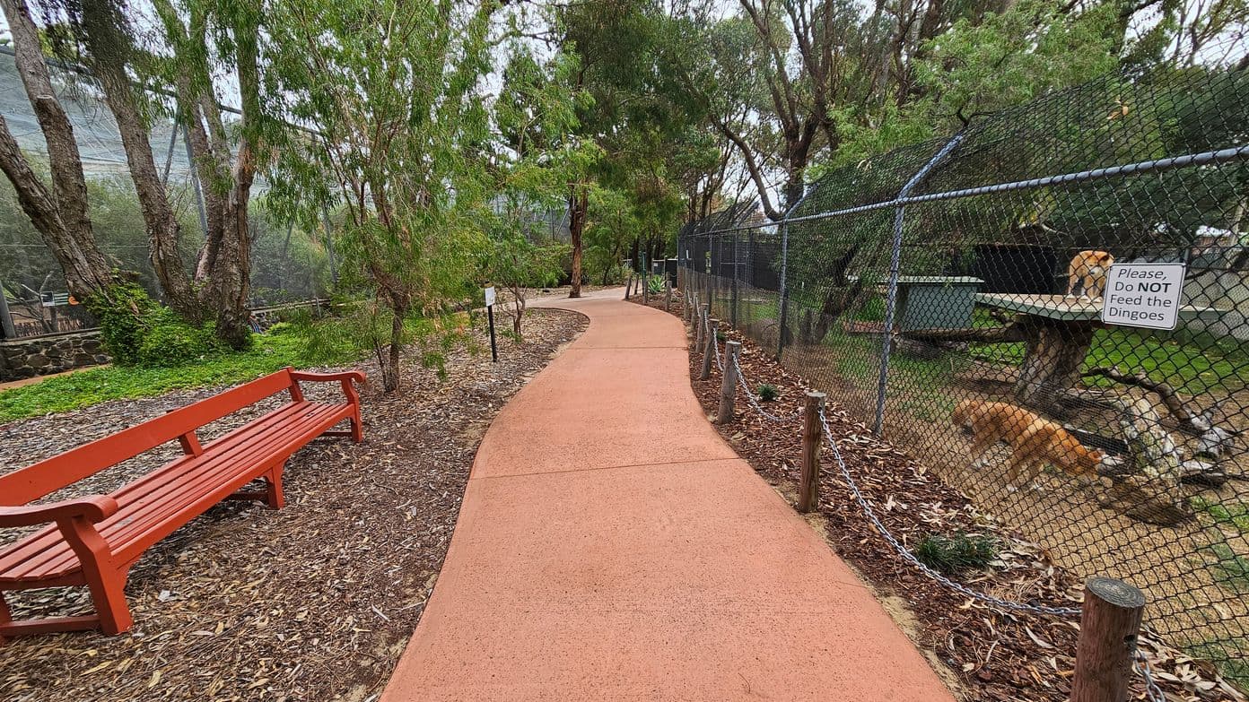 A winding path with a reddish surface runs through a wooded area. On the left, there's a red bench surrounded by mulch and trees. On the right, a chain-link fence encloses an area with dingoes, accompanied by a sign that reads, "Please, Do NOT Feed the Dingoes." The ground is covered with bark and leaves, and the area is lush with greenery.