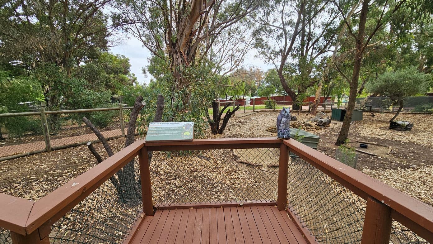 A wooden viewing platform with mesh railings in the foreground, featuring a sign and an owl statue. The background shows a fenced area with scattered trees and shrubs, and a dirt-covered ground with fallen leaves. A few structures and logs are visible, suggesting an animal enclosure.