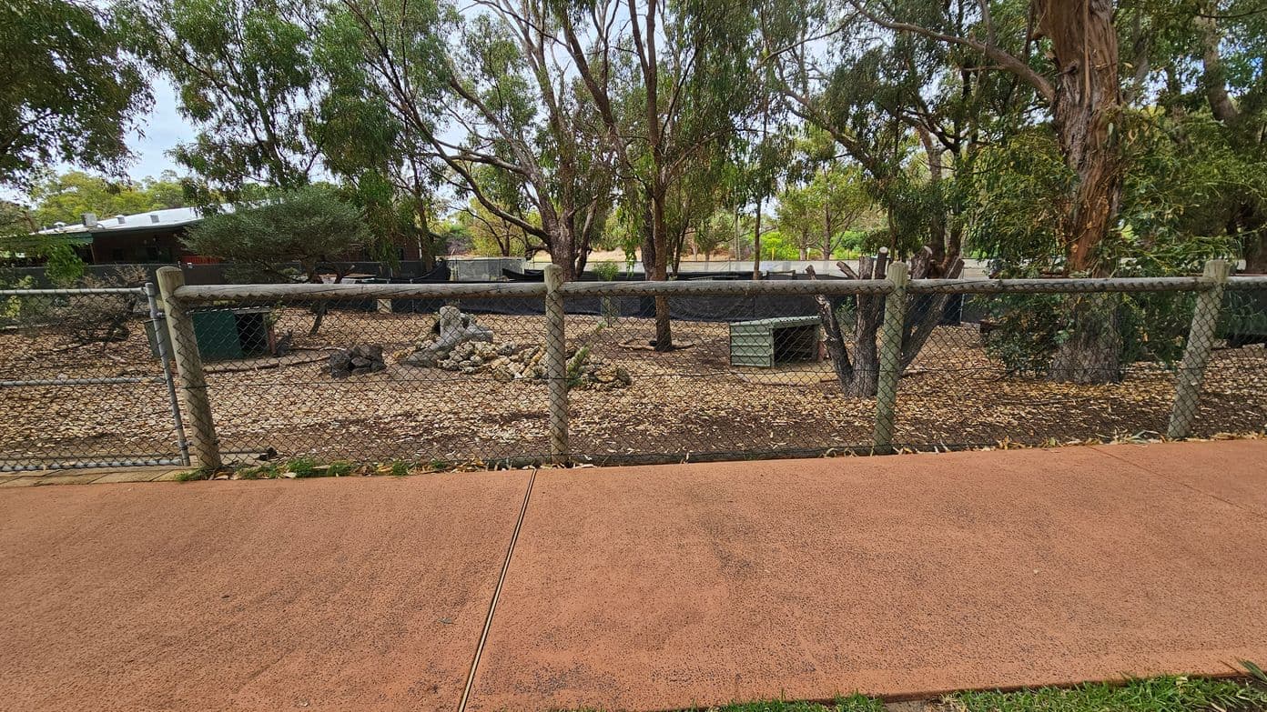 A fenced area with a dirt ground covered in fallen leaves and scattered rocks. Several trees with dense foliage are within the enclosure. A small green structure is visible to the right. In the background, there is a dark building with a light-coloured roof partially obscured by trees. The foreground features a reddish-brown paved path with some grass at the edge.