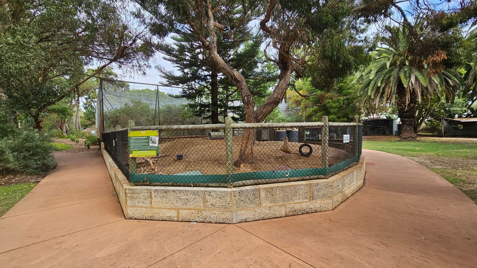 A fenced animal enclosure with a sandy ground and a large tree in the centre. The fence is made of chain-link with wooden posts and a low stone wall at the base. A sign with information is attached to the fence. To the left, a path leads through a garden area with dense greenery. On the right, a palm tree and more greenery are visible. The background features tall trees and a netted structure. The ground is paved with reddish-brown concrete.