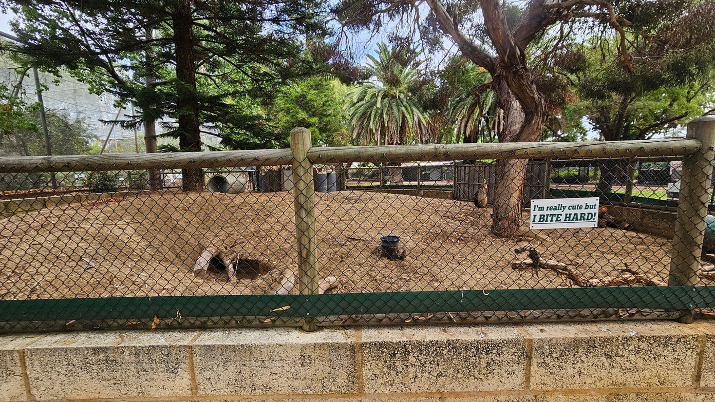 A fenced enclosure with a dirt ground, featuring a small tunnel entrance. A sign on the fence reads, "I'm really cute but I BITE HARD!" In the background, there are various trees, including palm trees and other greenery. The fence is made of chain-link with wooden posts, and the base is a low stone wall. A black bucket is visible inside the enclosure.