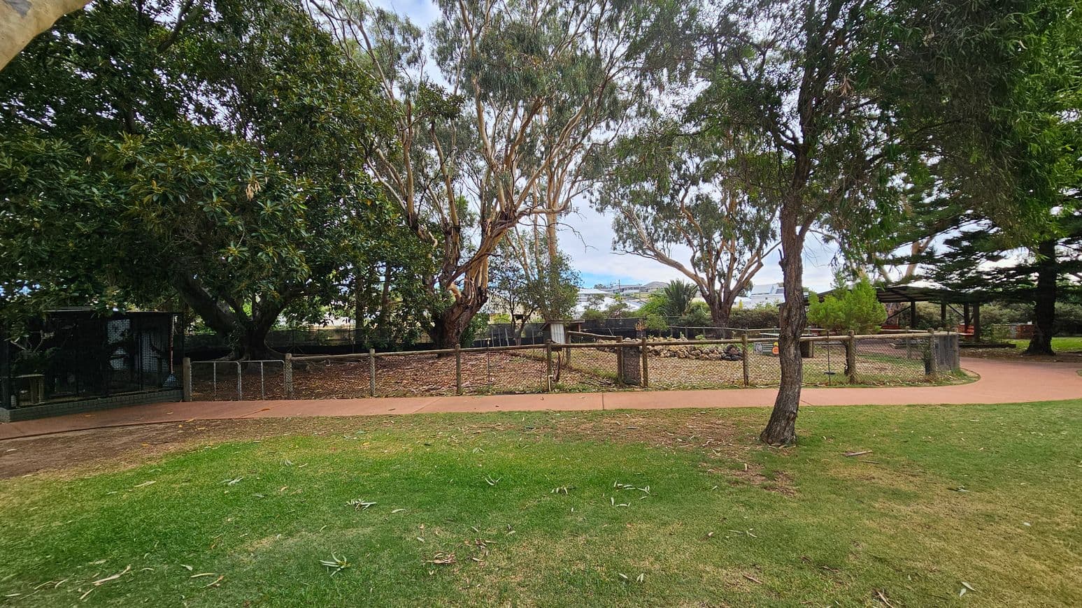 A park scene with a grassy foreground and a paved path running horizontally. On the left, there are dense trees with dark green foliage and a small fenced area. In the centre, tall trees with slender trunks and sparse leaves are visible. To the right, more trees and a fenced enclosure can be seen. The background features additional greenery and some structures partially obscured by the trees. The overall setting is natural and open.