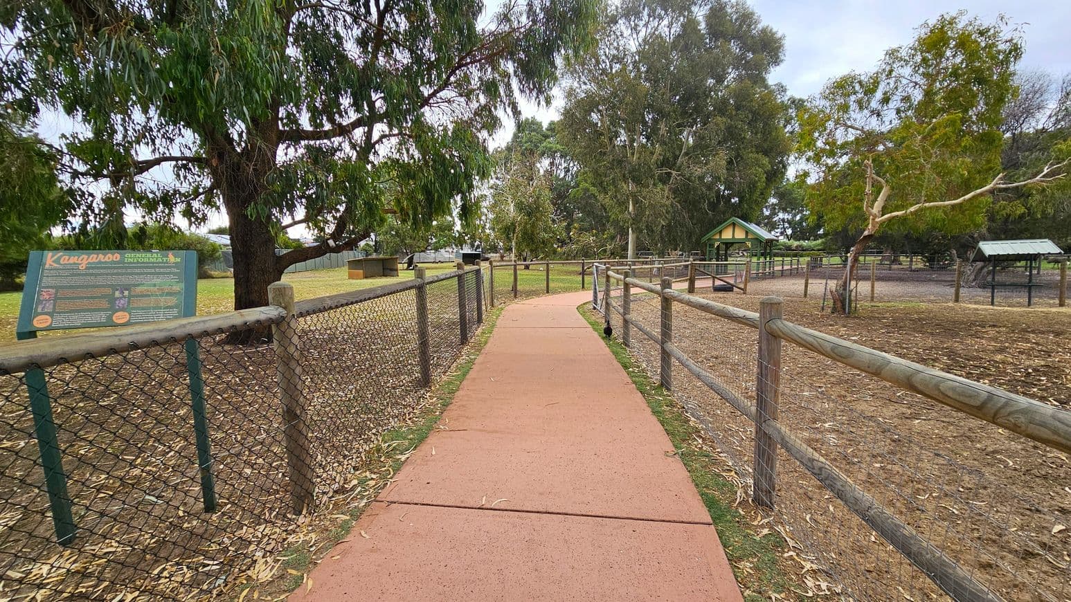 A paved path runs through the centre, flanked by wooden fences with wire mesh on both sides. On the left, a large tree stands next to a green sign about kangaroos. To the right, there is a smaller tree and a shelter with a green roof. In the background, more trees and a green-roofed structure are visible. The ground is covered with dry leaves and grass.