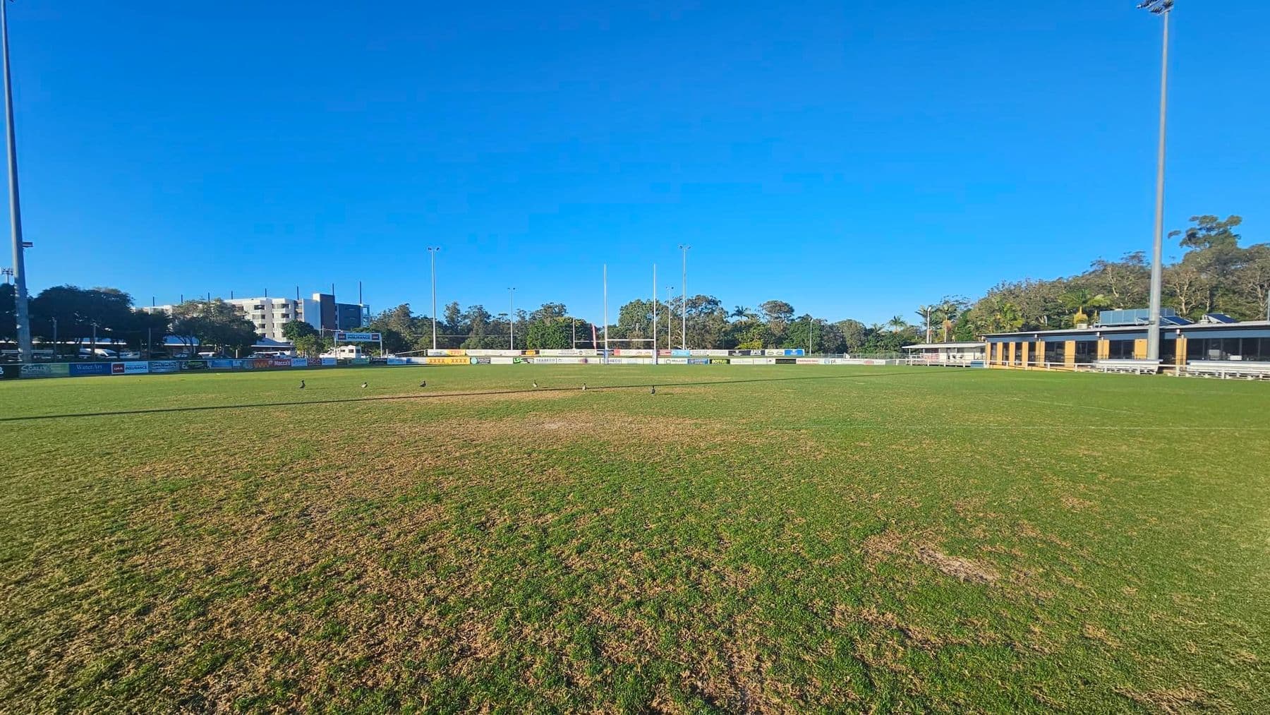 A rugby field with green grass and some patches of brown. In the centre, rugby goalposts are visible. On the left, there are trees and a building in the background. On the right, a long building with a covered seating area is visible. Tall floodlights are positioned on both sides of the field. The sky is clear and blue.