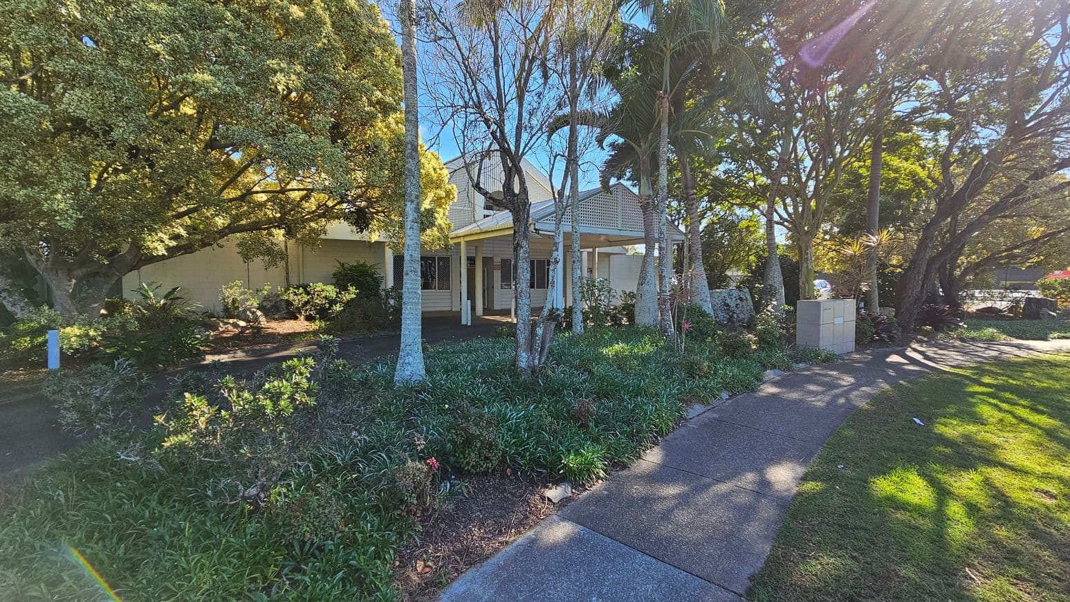 A house with a light-coloured exterior is partially obscured by trees and shrubs. The foreground features a curved concrete path bordered by grass and a variety of plants. Tall trees with slender trunks and dense foliage are scattered throughout the garden, casting shadows on the ground. A small utility box is visible near the path. Sunlight filters through the trees, creating dappled light patterns on the path and grass.