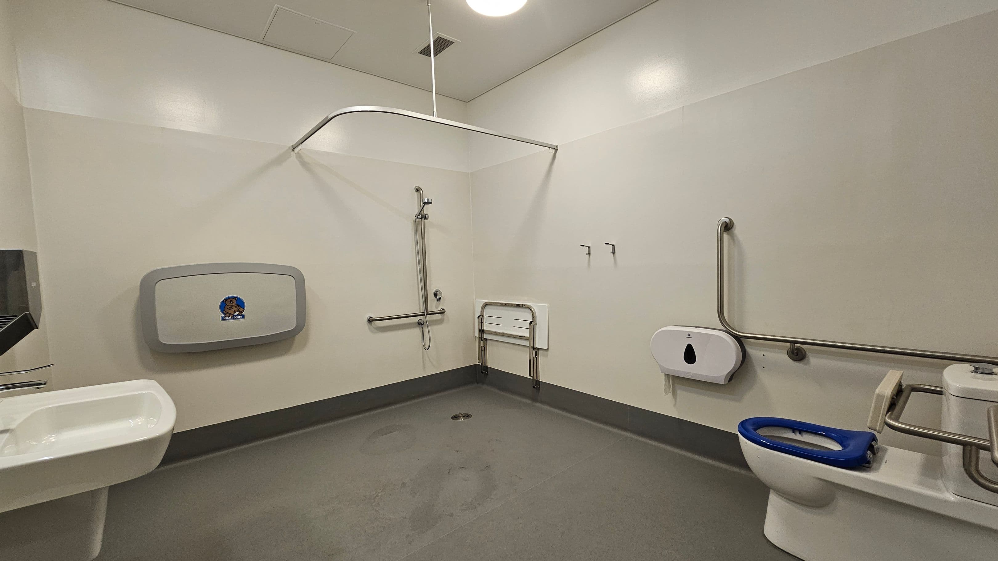A spacious accessible bathroom with a green floor and white walls. On the left, there's a white sink and a baby changing station mounted on the wall. In the centre, a shower area with a handheld showerhead and grab bars. On the right, a toilet with a blue seat, equipped with support rails and a toilet paper dispenser. The ceiling is white with a round light fixture.