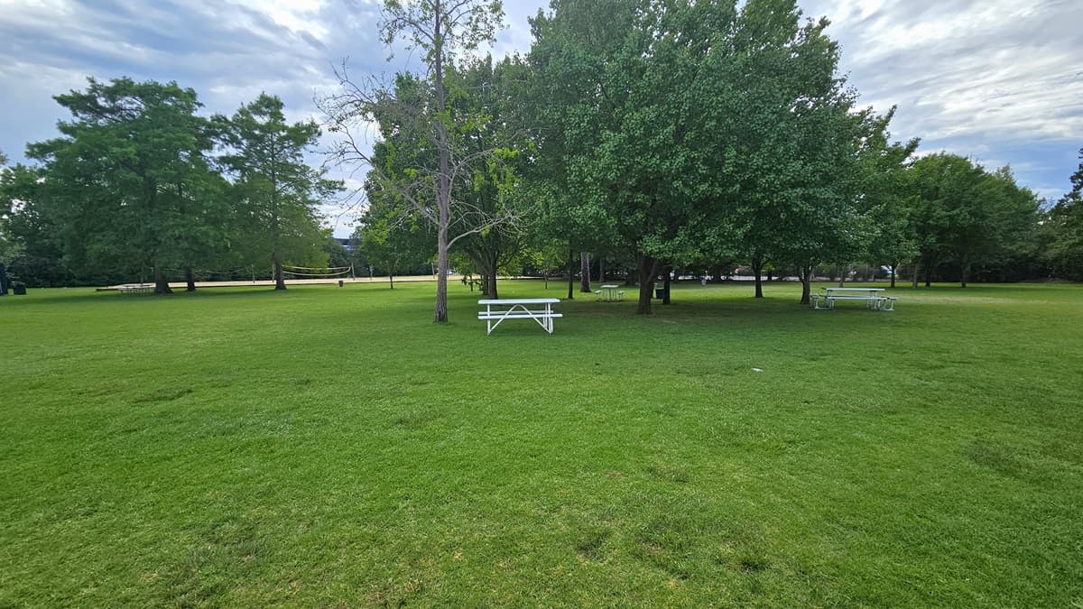 A spacious area covered with green neatly trimmed grass and tall trees. White picnic tables are placed under the trees for seating. Volleyball nets are installed on the far left.