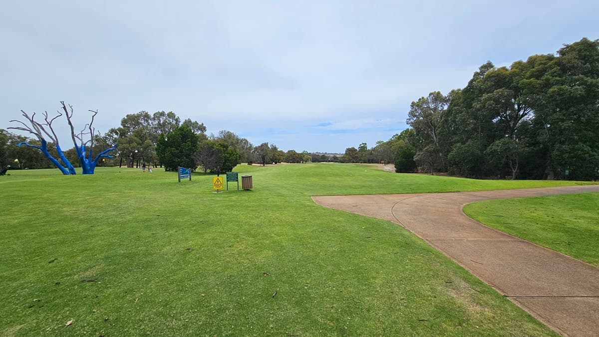 On the right, a curving concrete path leads to the right. To the left, there is a spacious green area. Adjacent is a tree trunk painted blue. Free Standing banners are positioned in the middle, accompanied by a rubbish bin. Tall trees encircle the area.