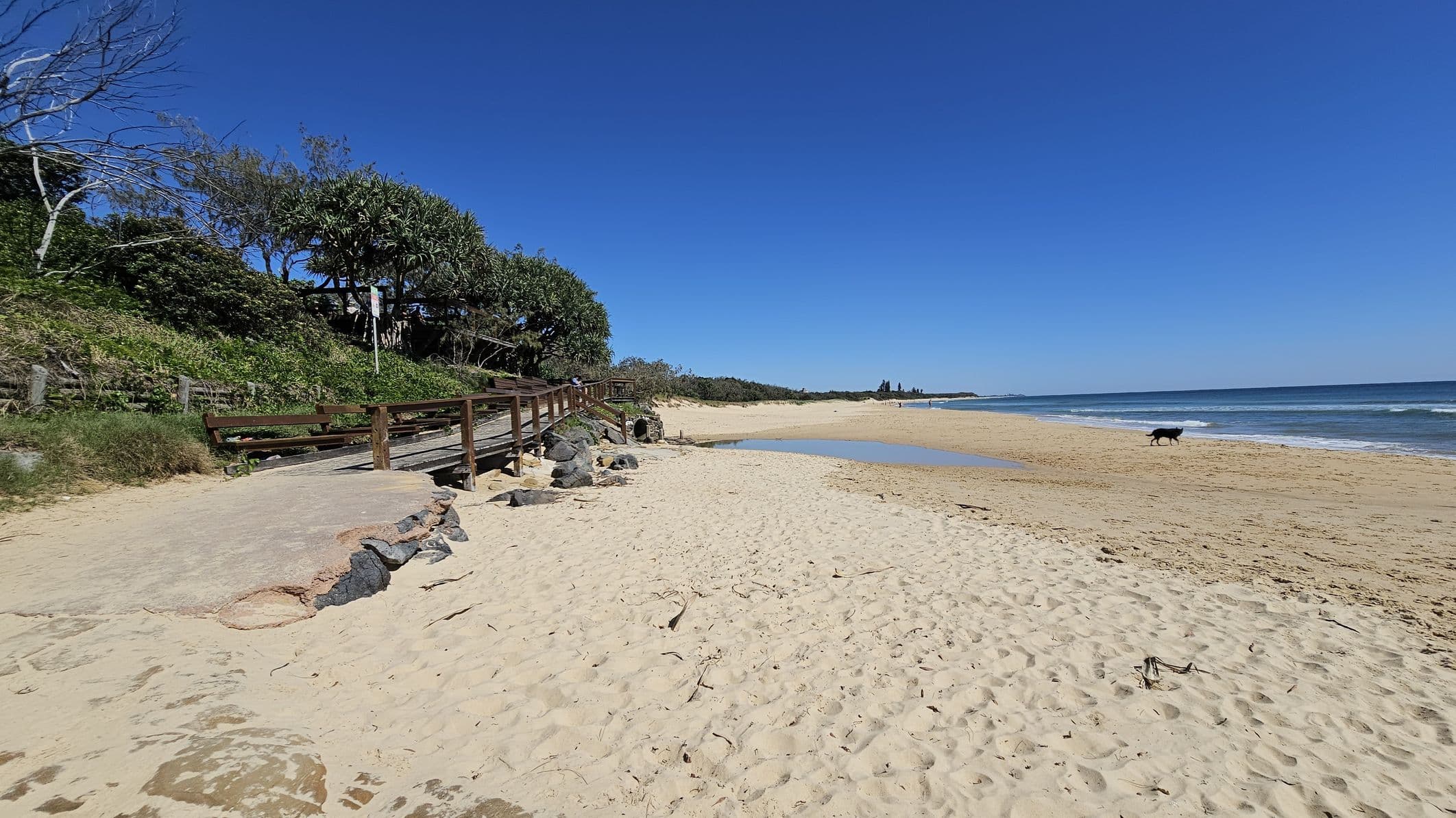 Sandy beach with a wooden walkway on the left, bordered by dense green foliage and trees. Rocks are scattered near the walkway. On the right, the ocean stretches along the shoreline, with gentle waves meeting the sand. A dog is walking near the water's edge. The sky is clear and blue.