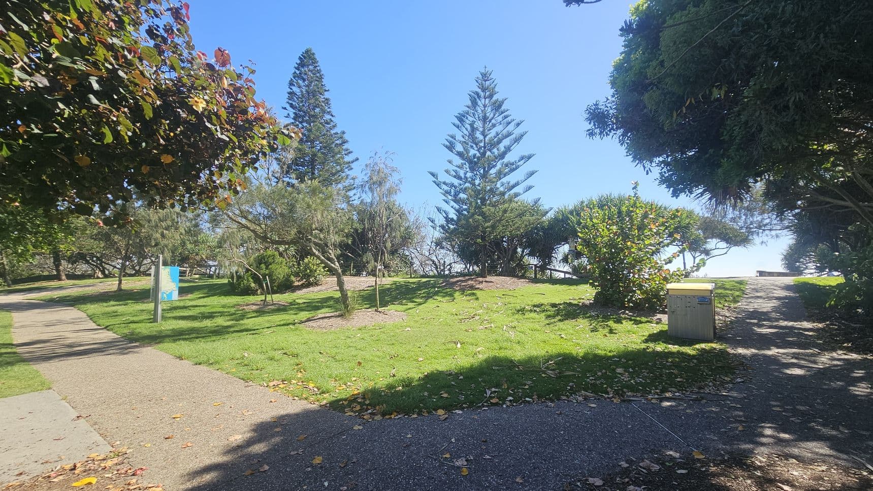 A park scene with a paved path on the left leading through a grassy area. Tall trees, including a prominent pine, are in the centre and background. A sign with a blue map is near the path. On the right, a bin is situated beside another path that leads towards the horizon. The ground is covered with scattered leaves, and the area is shaded by overhanging branches.