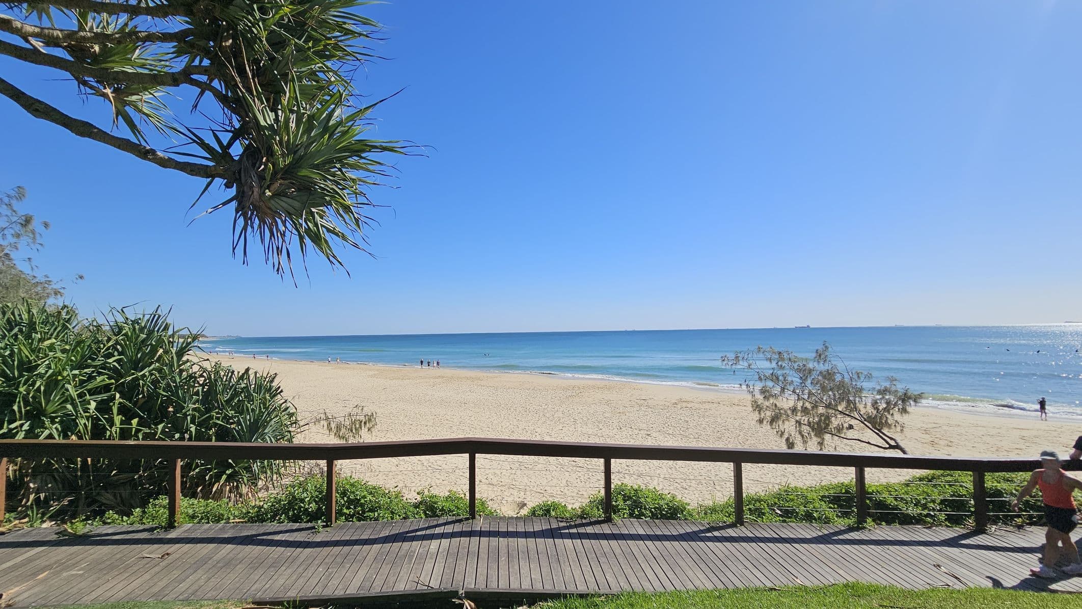 A sandy beach stretches across the middle, meeting a calm blue sea. In the foreground, a wooden boardwalk with a railing runs horizontally, bordered by green foliage. On the left, a large tree with spiky leaves extends over the scene. A few people are visible on the beach and in the water. On the right, a person in athletic clothing is jogging along the boardwalk. The sky is clear and blue.