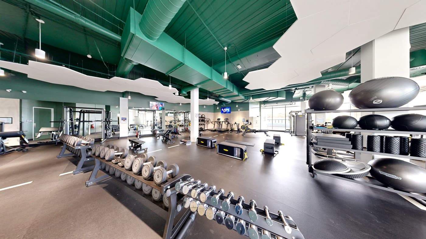 On the left, a rack of dumbbells and a white pillar with a poster. In the middle, various exercise machines, including a bench press and weightlifting equipment, with a wall-mounted television above. On the right, treadmills and exercise bikes beneath a wall-mounted screen. The floor is dark rubber, and the ceiling is green with white, cloud-shaped acoustic panels and hanging light fixtures.