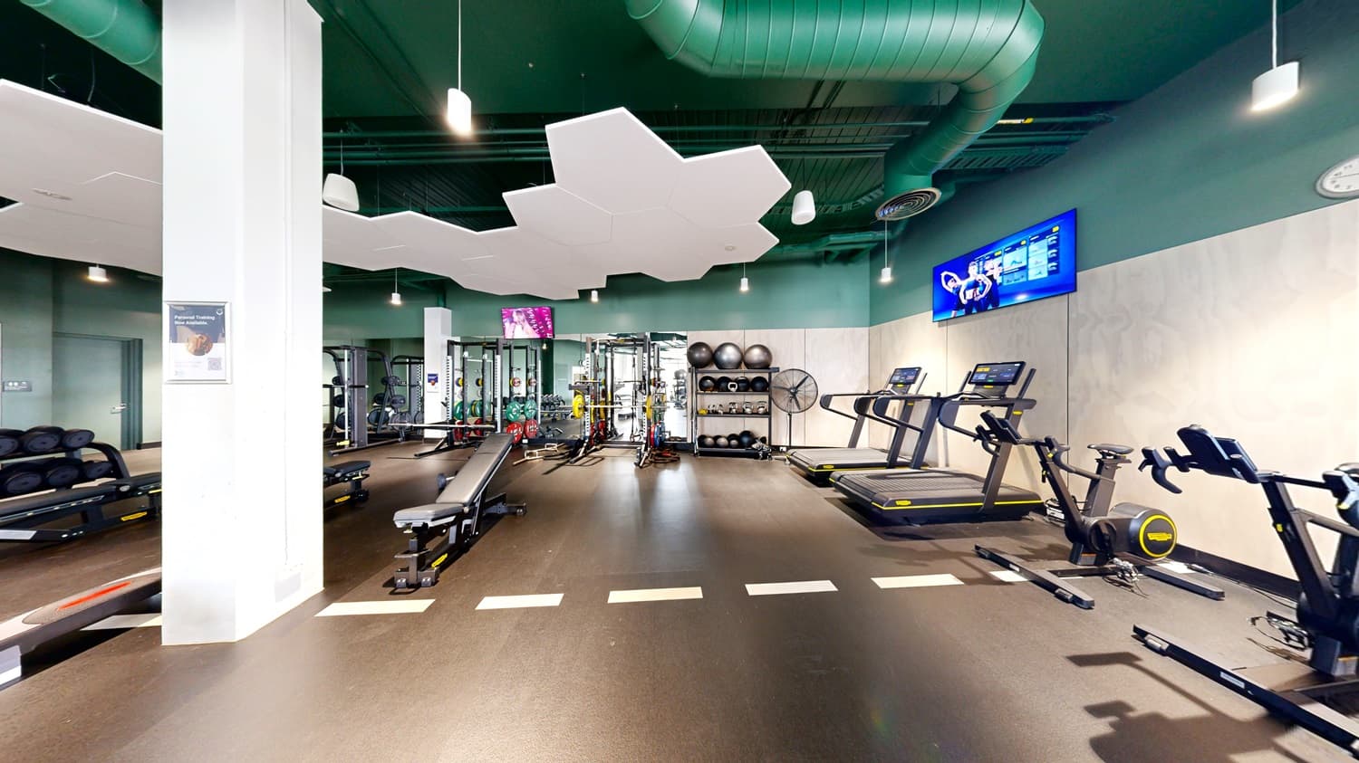 On the left, a rack of dumbbells and a white pillar with a poster. In the middle, various exercise machines, including a bench press and weightlifting equipment, with a wall-mounted television above. On the right, treadmills and exercise bikes beneath a wall-mounted screen. The floor is dark rubber, and the ceiling is green with white, cloud-shaped acoustic panels and hanging light fixtures.