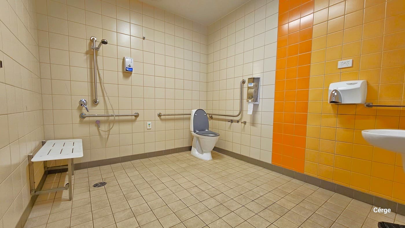 A spacious, accessible bathroom with beige and orange tiled walls. On the left, a foldable shower seat and grab bars are installed. In the centre, a toilet with additional grab bars is visible. On the right, a paper towel dispenser and a partial view of a sink are present. The floor is covered with small square tiles, and the ceiling is plain and light-coloured.