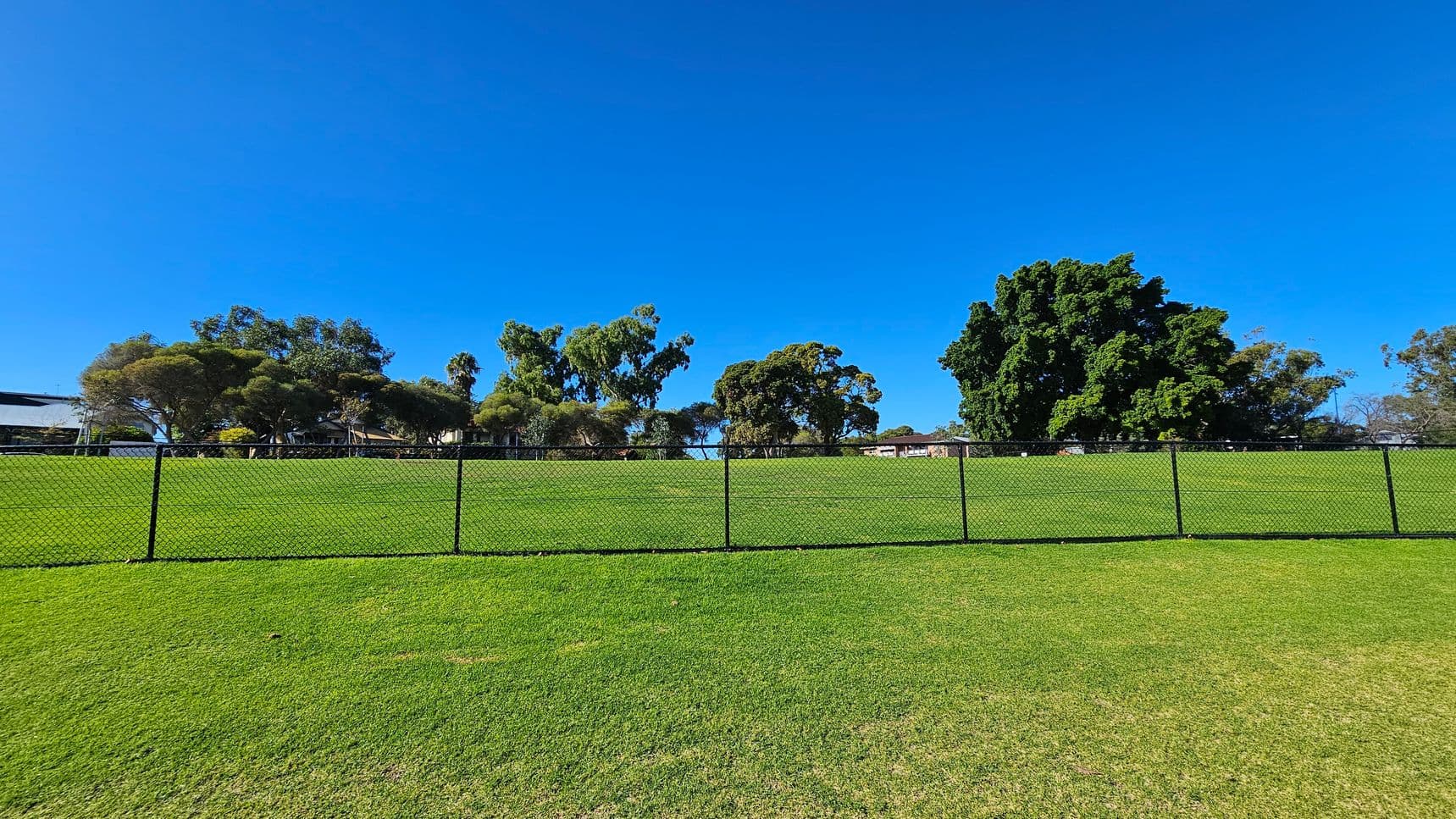A grassy field stretches across the foreground, bordered by a black chain-link fence. In the background, there are several large trees with dense green foliage. The sky is clear and blue, providing a vivid contrast to the greenery. The area appears open and spacious, with no visible structures or people.