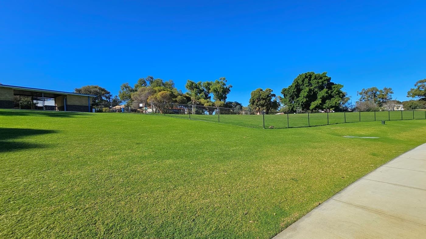 A grassy field with a gentle slope, bordered by a black chain-link fence. On the left, there's a building with a flat roof and large windows. In the background, various trees are scattered, providing some shade. On the right, a concrete path curves along the edge of the grass. The sky is clear and blue.