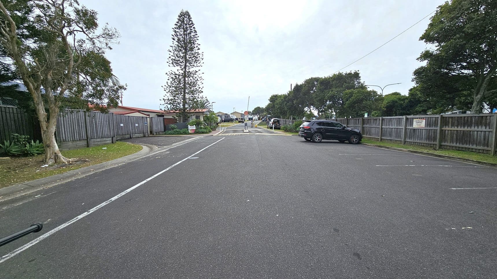 A quiet street with a wide road in the foreground. On the left, a tree stands next to a wooden fence, with houses visible behind it. On the right, a black car is parked near another wooden fence, with trees in the background. In the centre, a tall, narrow tree is visible, and further down, a pedestrian crossing with a stop sign. The area is lined with greenery and residential buildings.