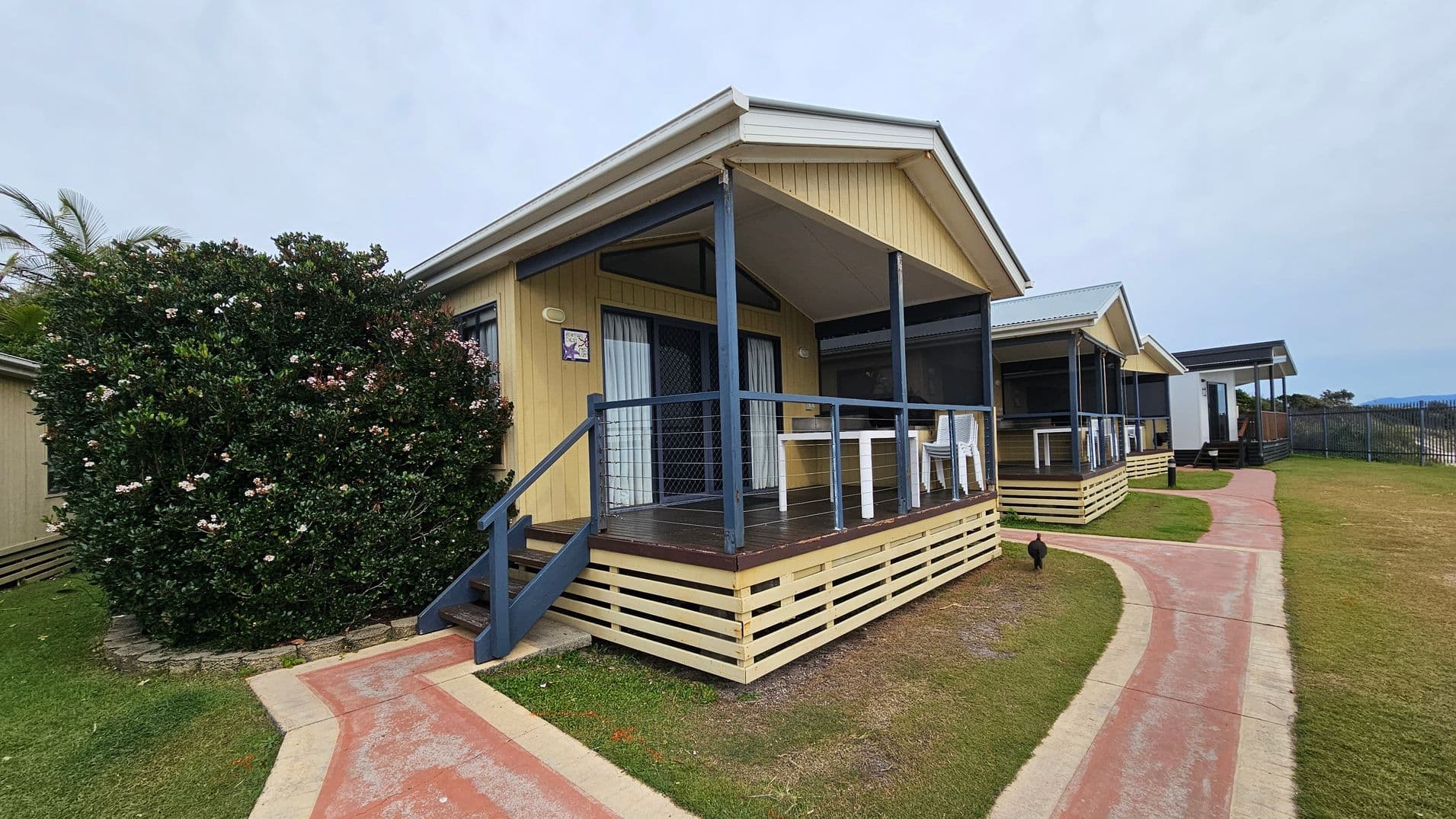 A row of small, wooden cabins with gabled roofs and front porches. The cabin in the foreground has a porch with a white table and chairs, accessed by a short set of stairs. A large bush with small flowers is to the left. A paved path runs in front of the cabins, curving to the right. The ground is grassy, and a black bird is near the path. In the background, more cabins are visible, along with a metal fence on the right.