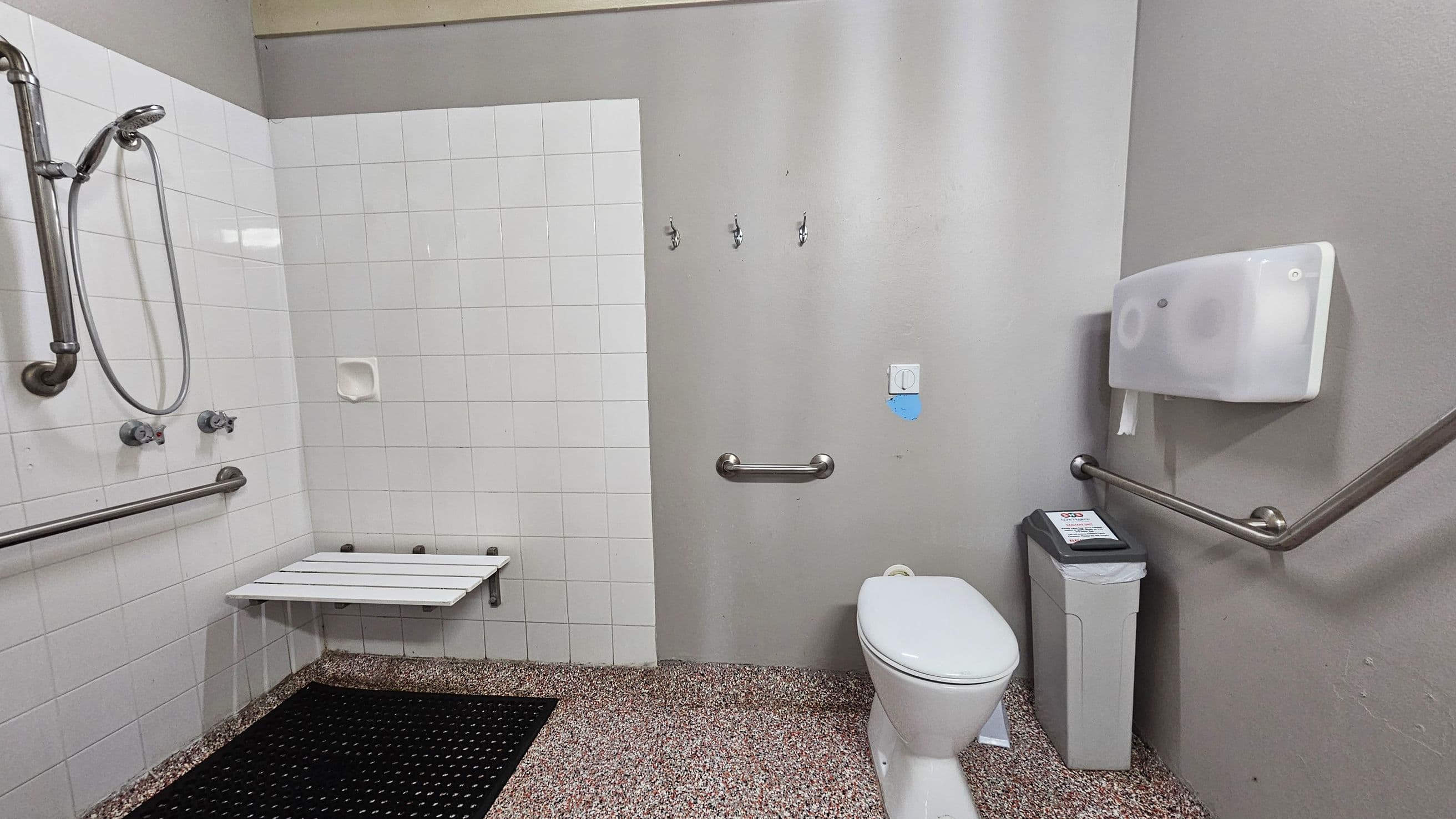 A bathroom with a white-tiled shower area on the left, featuring a handheld showerhead and a foldable seat. The floor is speckled with a non-slip black mat in the shower area. The middle wall is grey with three hooks and a grab bar. On the right, there's a toilet with a grab bar beside it, a toilet paper dispenser, and a waste bin. The ceiling is plain and light-coloured.