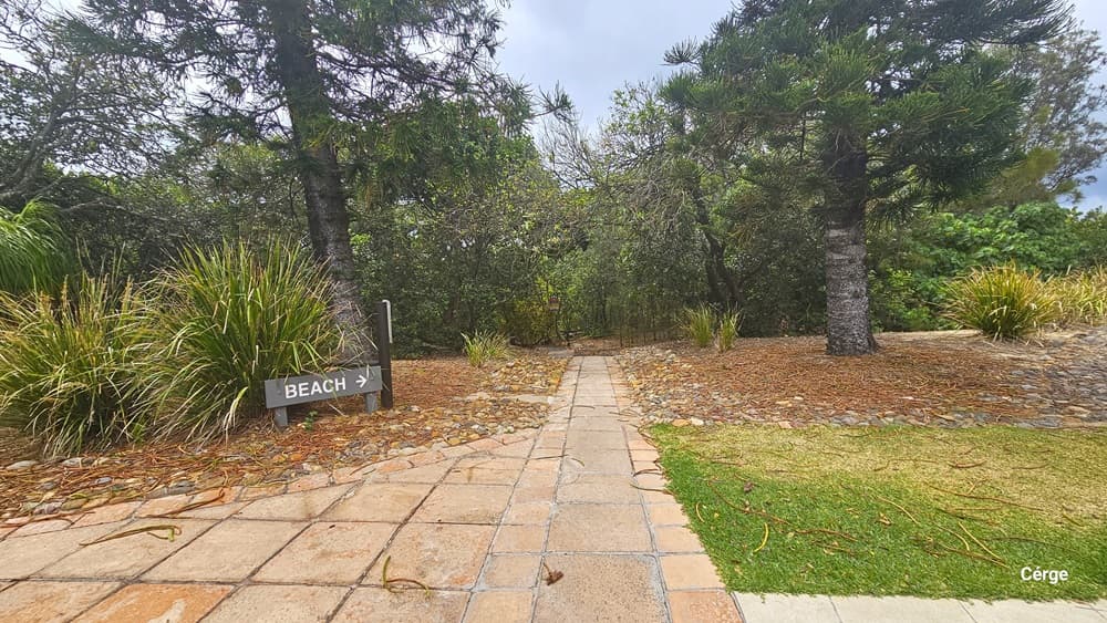 A paved pathway extends towards the beach, with directional signage to the left. On the right, green grass lines the pathway. Various trees, including pine trees, wild grass, plants, and small rocks, border the pathway.
