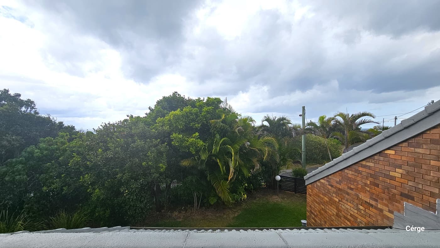 A scenic view from the balcony. Various trees, including palm trees, and green grass surround the area. A brick wall of a building is on the right. Tall electric posts, wooden fences, and street lights are also visible.